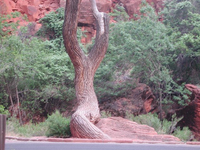 DSCN6362.JPG