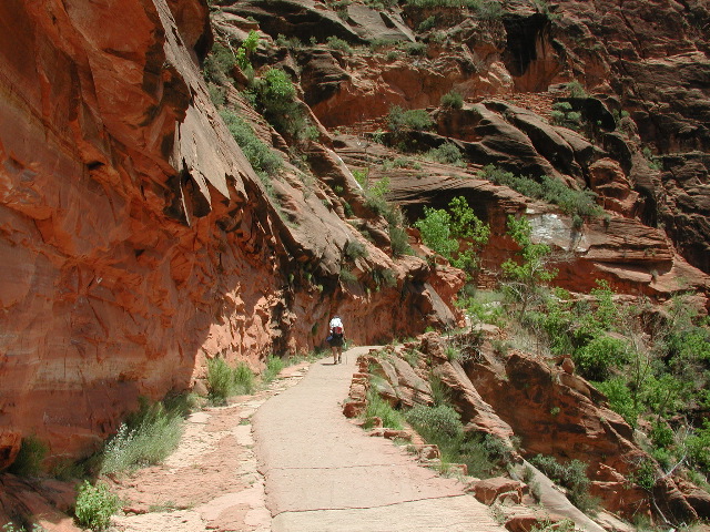 DSCN6371.JPG