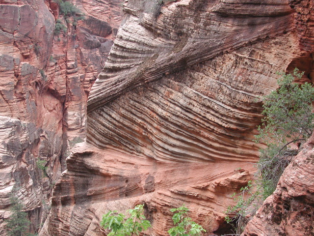DSCN6377.JPG