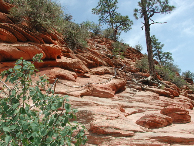 DSCN6381.JPG