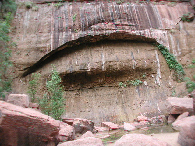 DSCN6330.JPG
