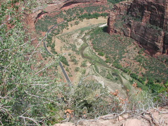 DSCN6385.JPG