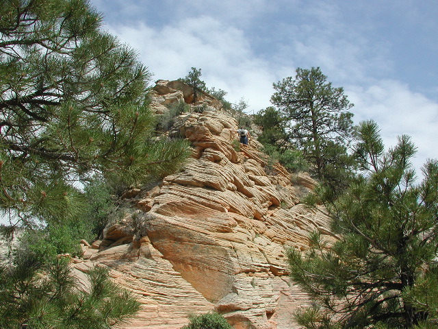 DSCN6399.JPG