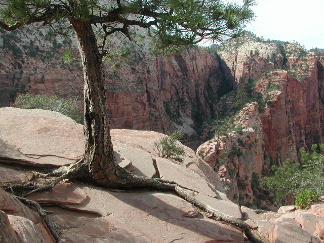 DSCN6419.JPG