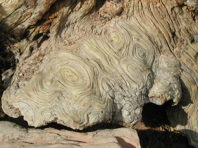 DSCN6423.JPG