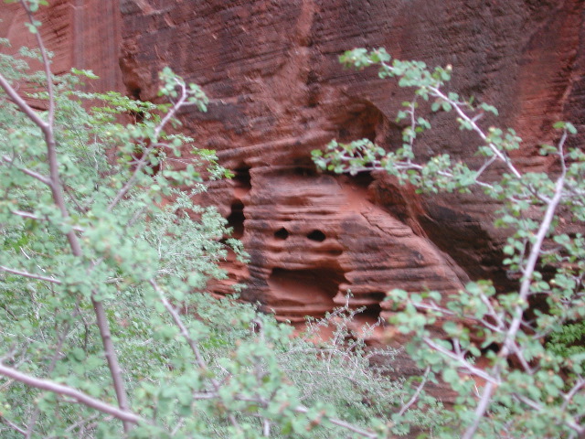 DSCN6433.JPG