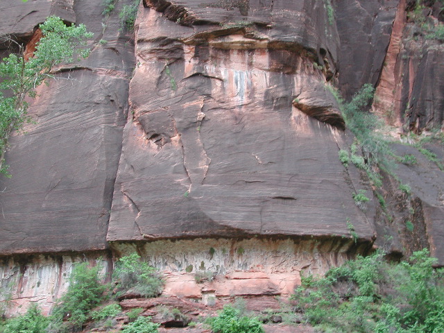 DSCN6356.JPG