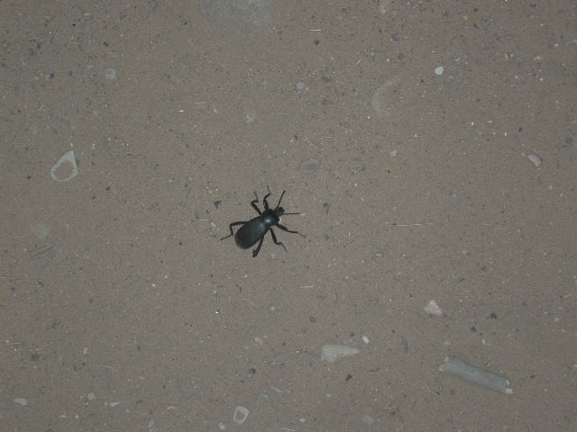 DSCN6358.JPG