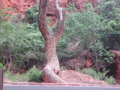 DSCN6362.JPG