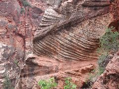 DSCN6377.JPG
