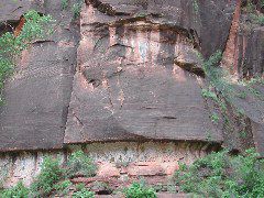 DSCN6356.JPG