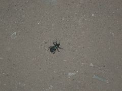 DSCN6358.JPG