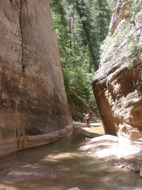 DSCN6470.JPG