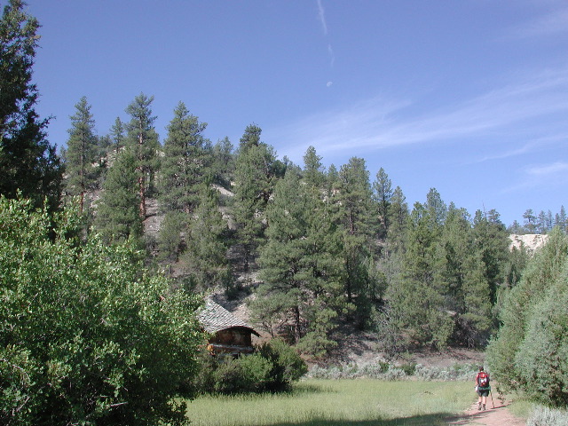 DSCN6446.JPG