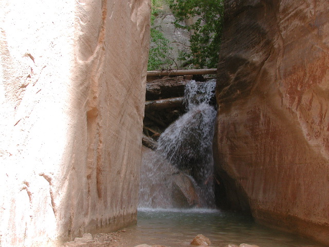 DSCN6495.JPG