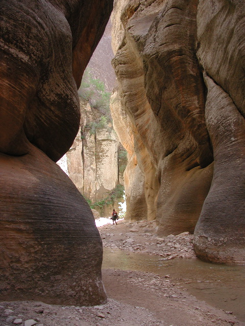 DSCN6499.JPG