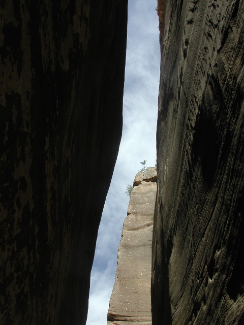 DSCN6503.JPG