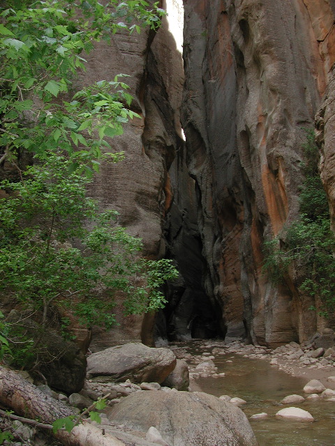 DSCN6504.JPG