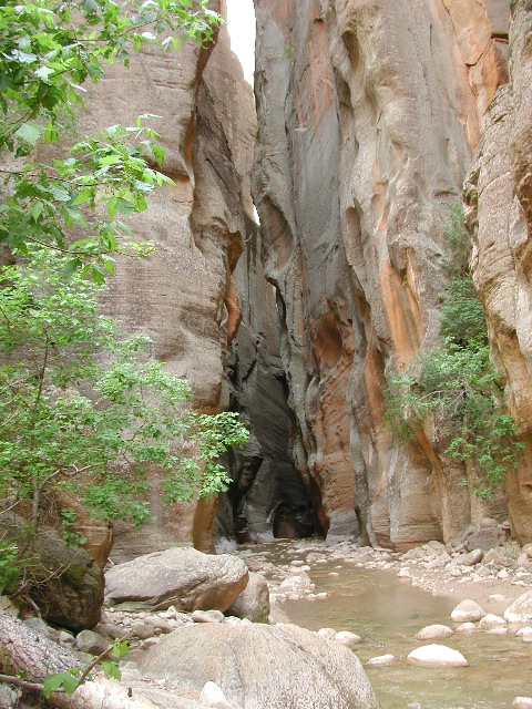 DSCN6505.JPG