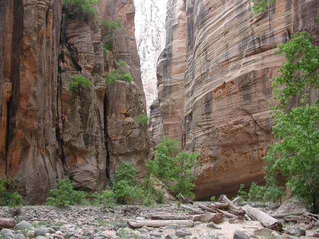 DSCN6509.JPG