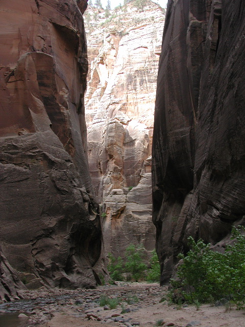 DSCN6511.JPG