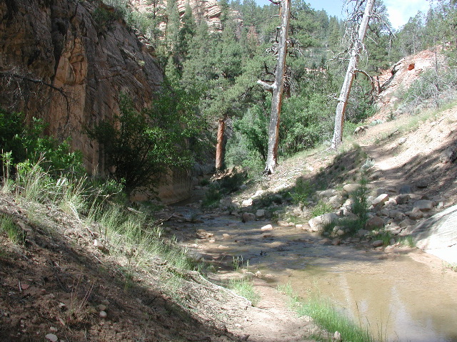 DSCN6447.JPG