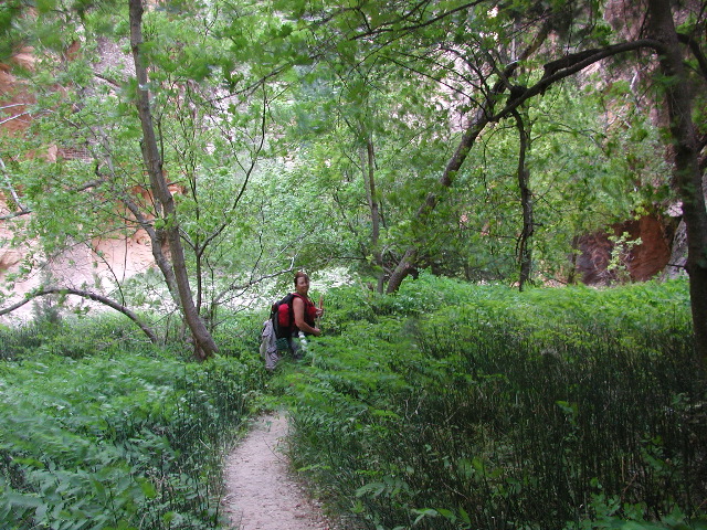 DSCN6517.JPG