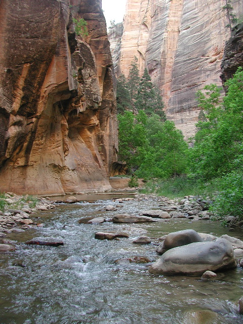 DSCN6520.JPG