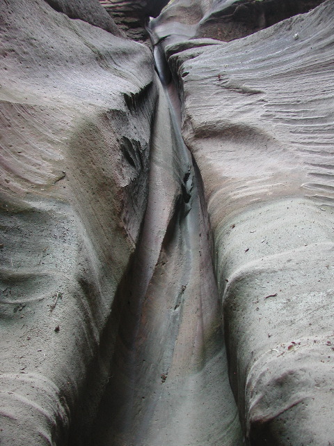 DSCN6525.JPG