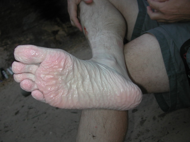 DSCN6527.JPG
