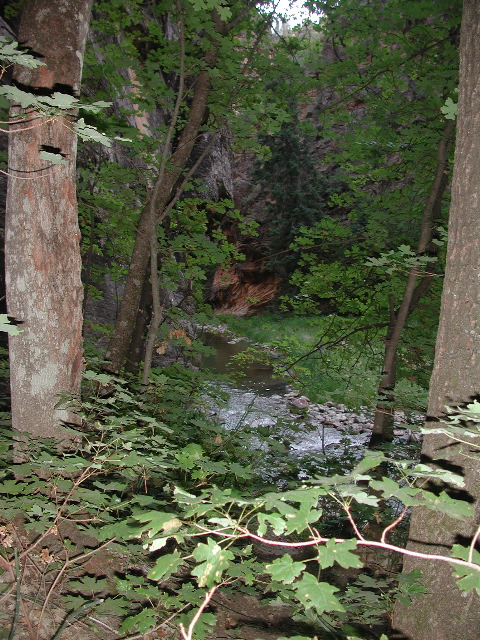 DSCN6528.JPG