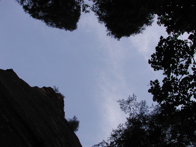 DSCN6530.JPG