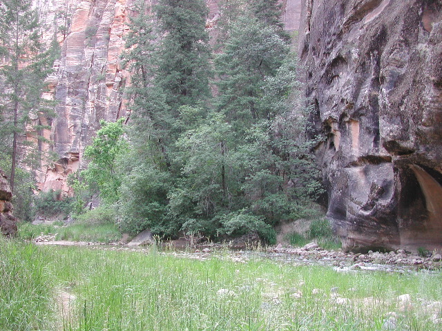 DSCN6537.JPG