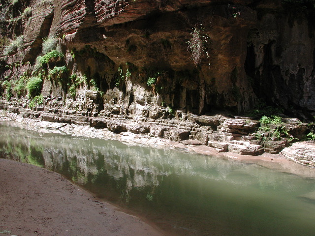 DSCN6555.JPG