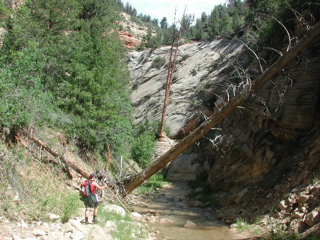 DSCN6451.JPG