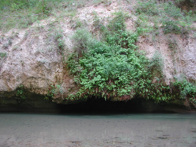 DSCN6556.JPG
