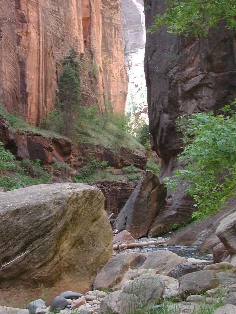 DSCN6557.JPG