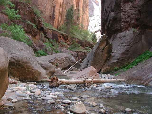 DSCN6558.JPG