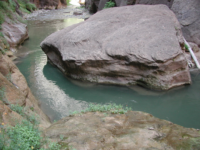 DSCN6559.JPG
