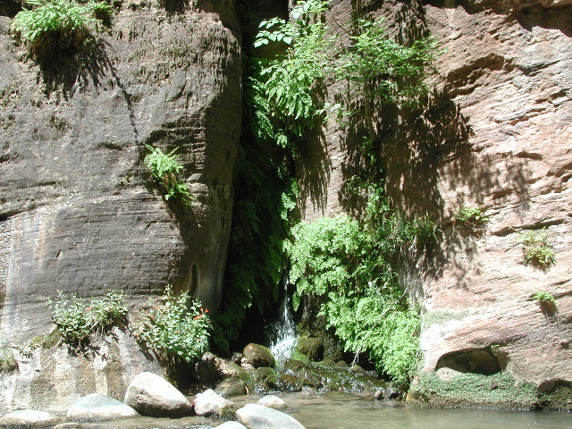 DSCN6561.JPG