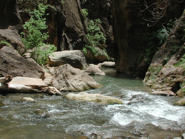 DSCN6567.JPG