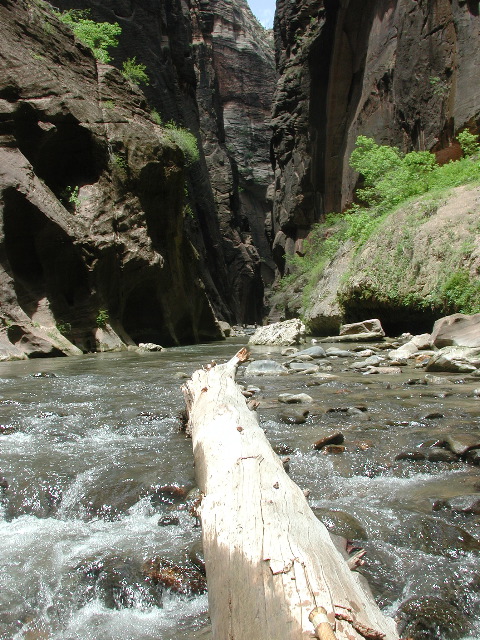 DSCN6574.JPG