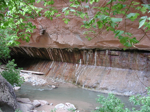DSCN6582.JPG