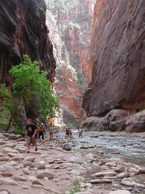 DSCN6590.JPG