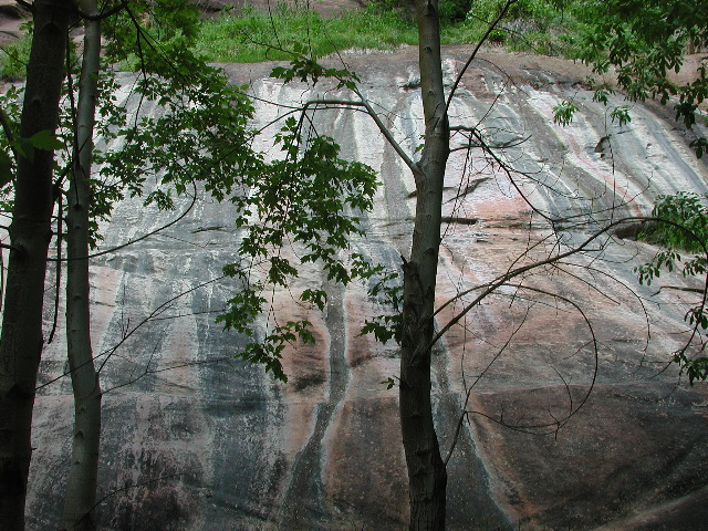 DSCN6592.JPG