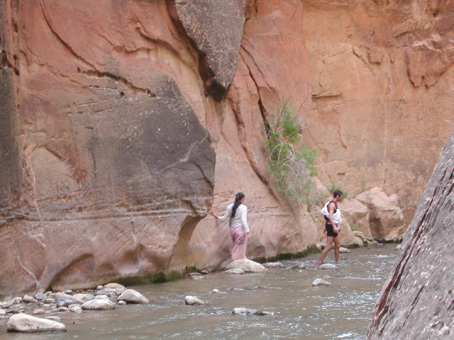 DSCN6593.JPG