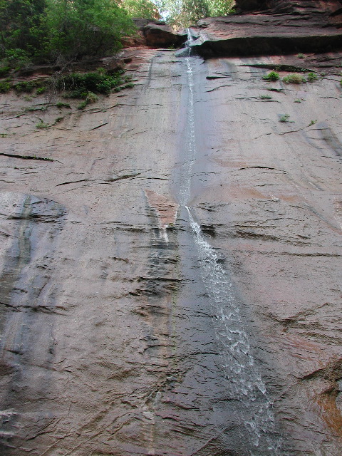 DSCN6595.JPG