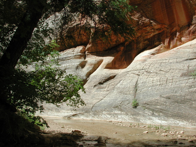 DSCN6460.JPG