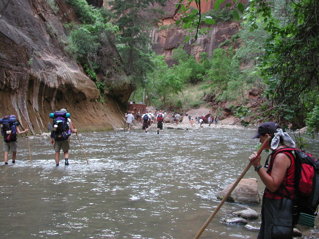 DSCN6598.JPG