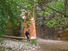 DSCN6488.JPG